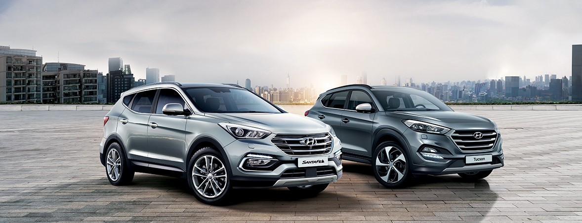 SUV festival